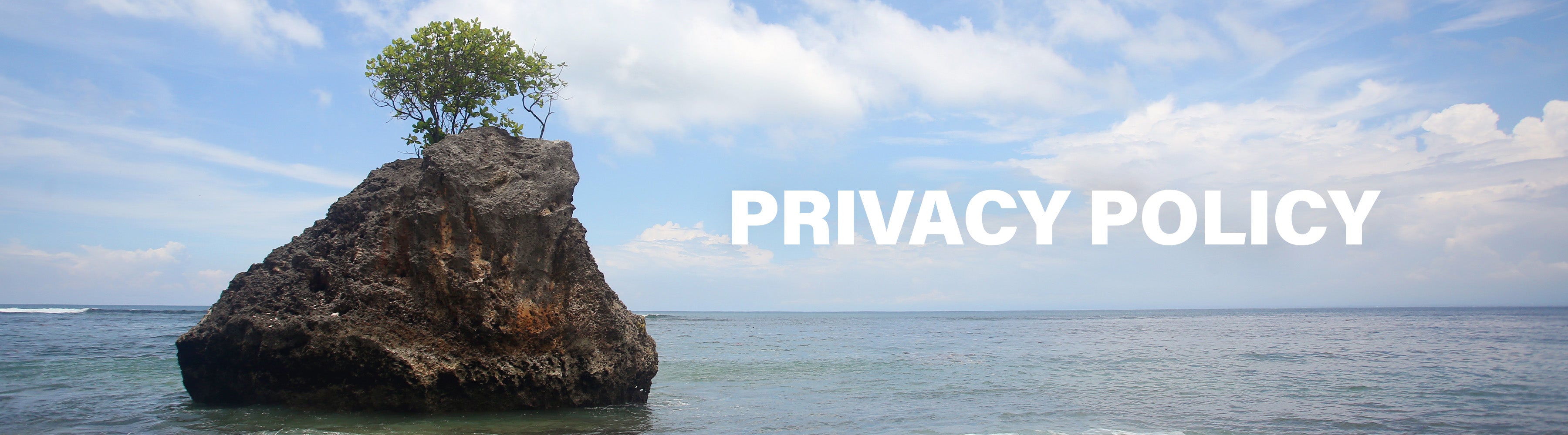 A large rock with a small tree on top, surrounded by ocean, with the text Privacy Policy in white.