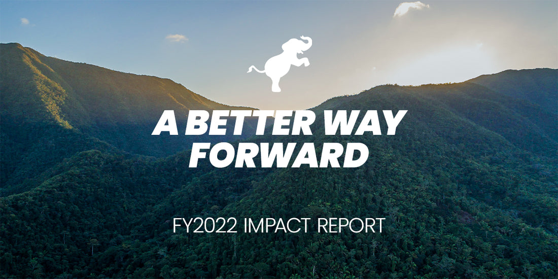 2022 Impact Report