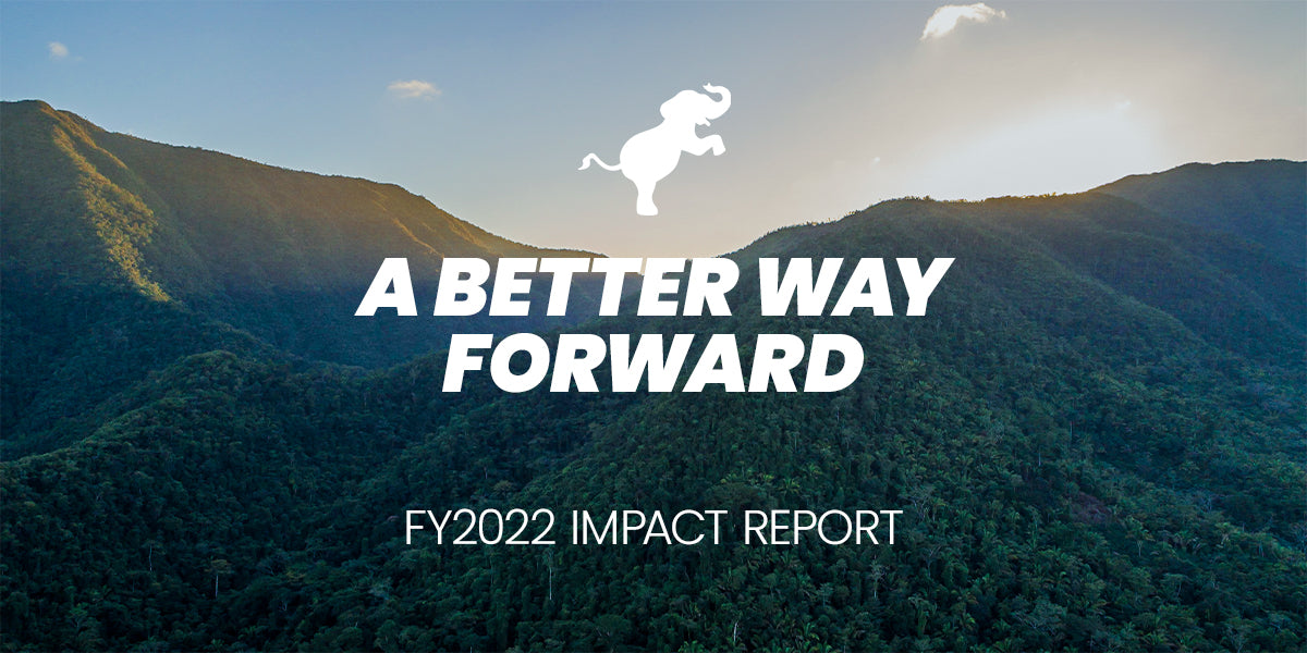2022 Impact Report