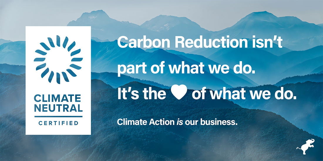 Climate Action is Our Business