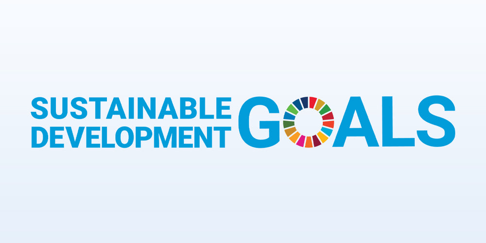 A Decade of Action: Why SDGs Matter