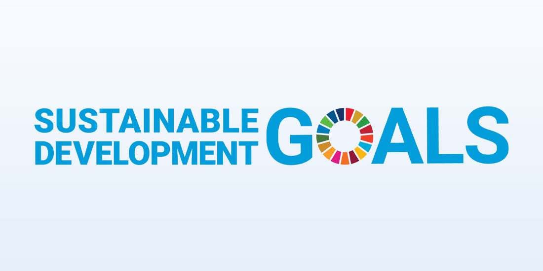 A Decade of Action: Why SDGs Matter