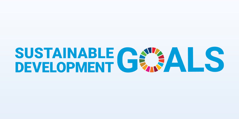 A Decade of Action: Why SDGs Matter