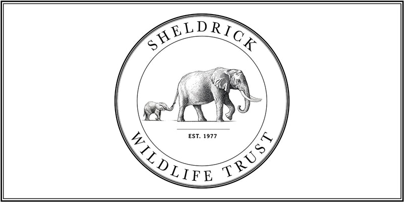 Sheldrick Wildlife Trust x Nimble