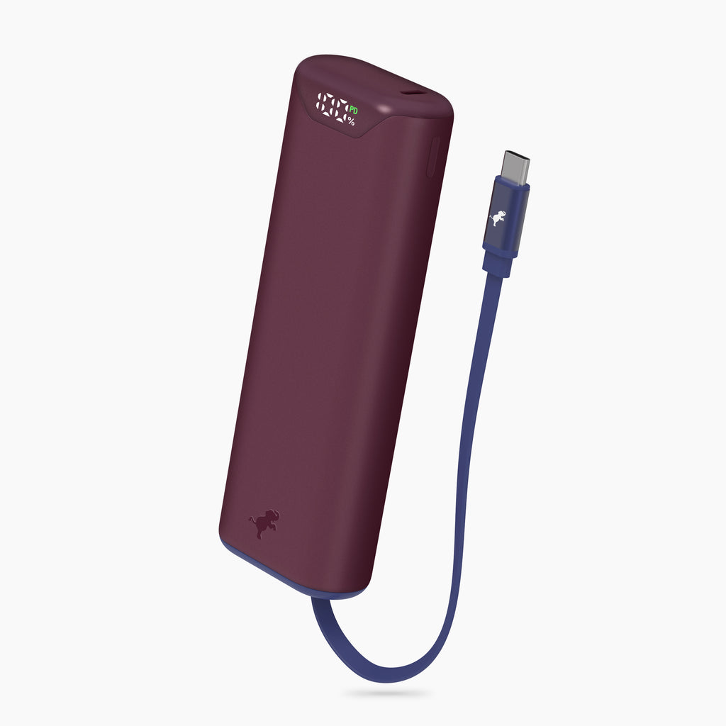 CHAMP Stretch Portable Charger