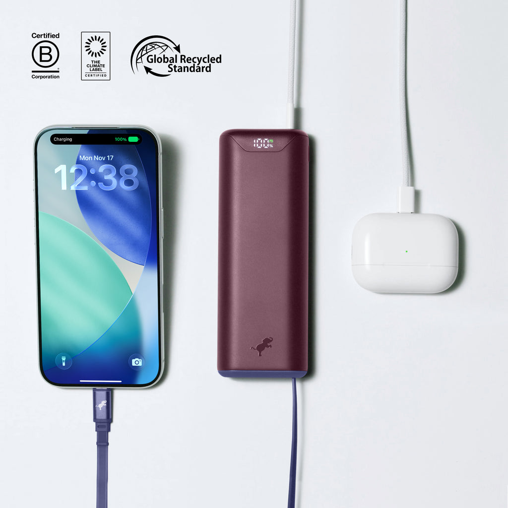 CHAMP Stretch Portable Charger