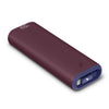 CHAMP Stretch Portable Charger