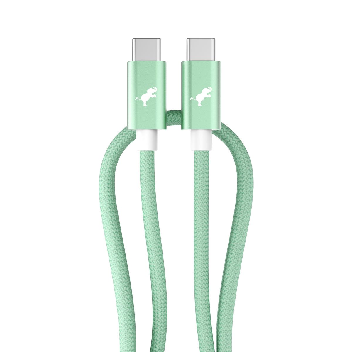 A Coastal Moss/Emerald Cove braided USB-C to USB-C cable with a white horse logo printed on each connector housing, shown against a solid white background.
