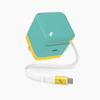 WALLY Stretch 65W Wall Charger