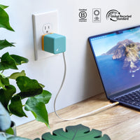 WALLY Stretch 65W Wall Charger