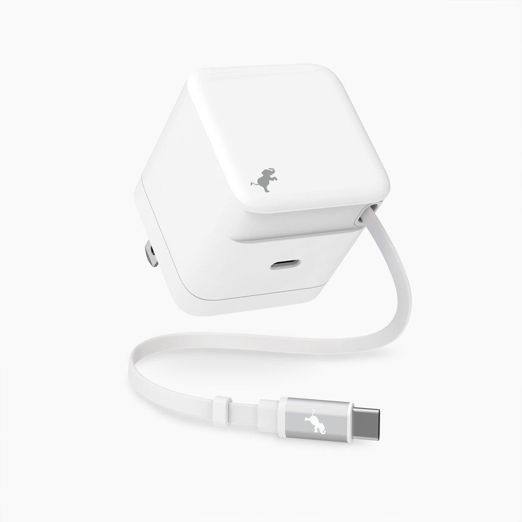WALLY Stretch 65W Wall Charger