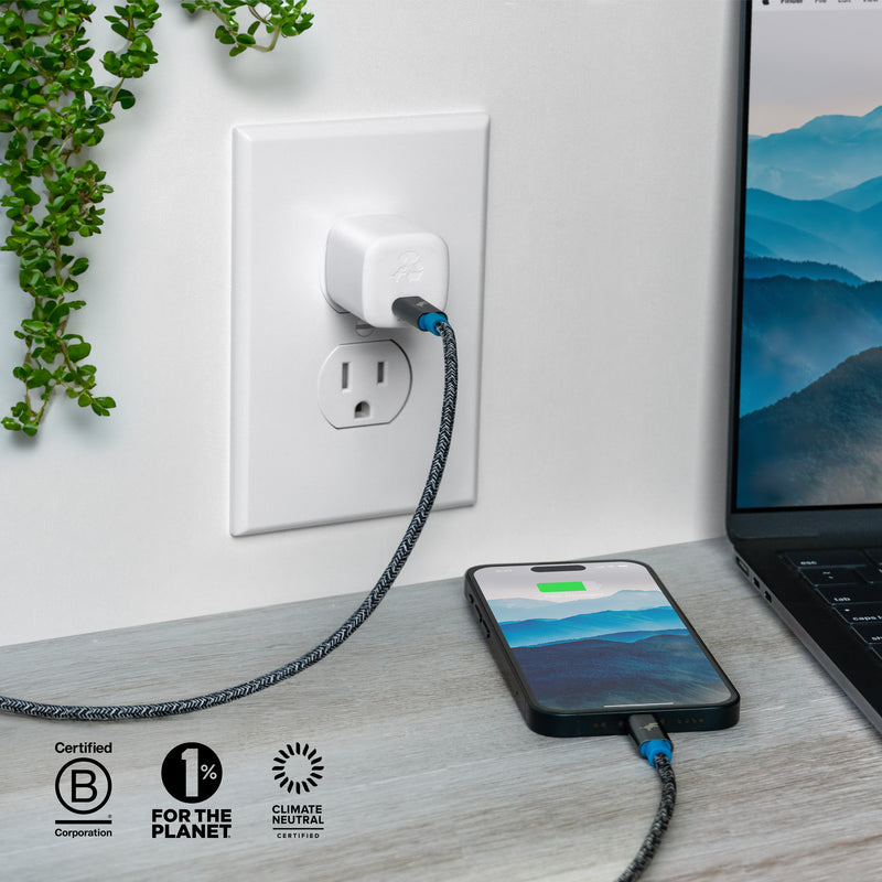 WALLY SubNano 20W Wall Charger