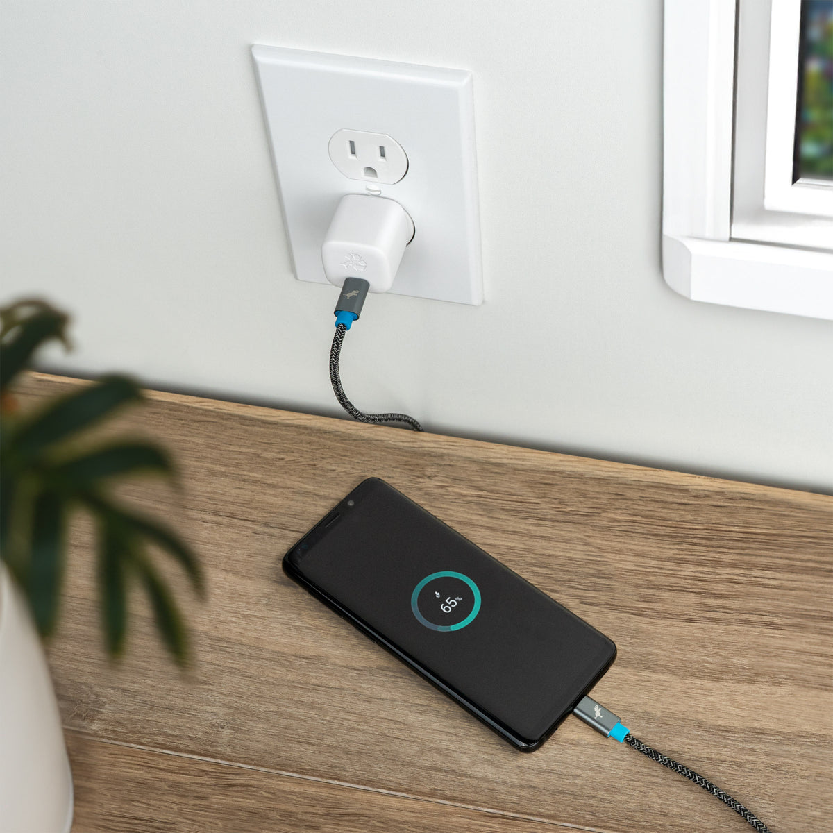 WALLY SubNano 30W Wall Charger