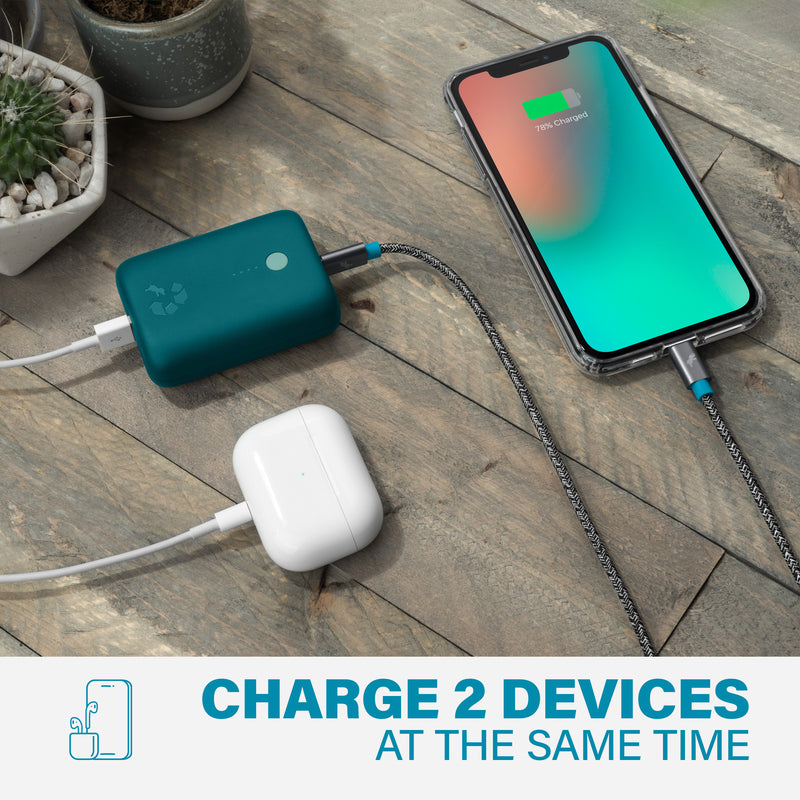 CHAMP Portable Charger