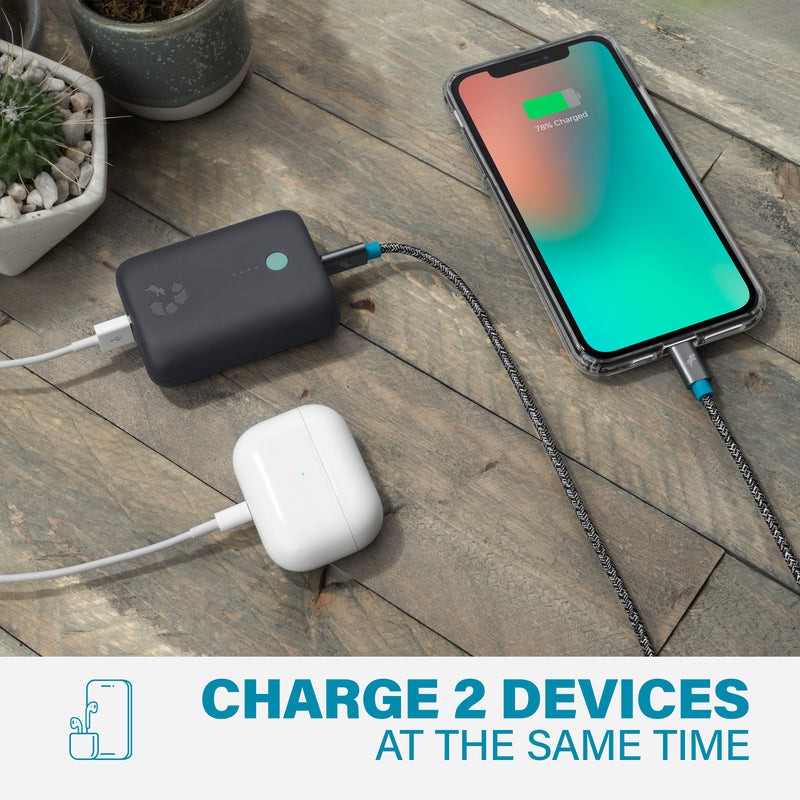 CHAMP Portable Charger